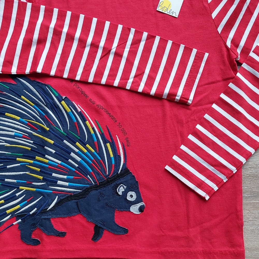 2021 nwt Mini Boden porcupine tee 11-12 years - Picture 2 of 14